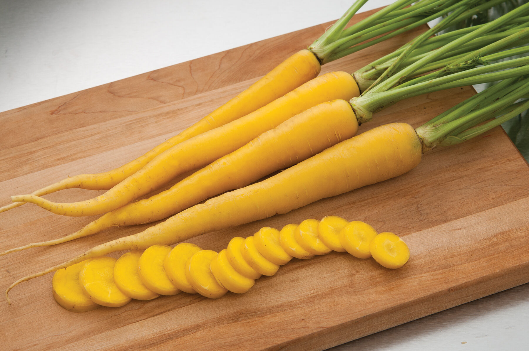фото золотая морковь